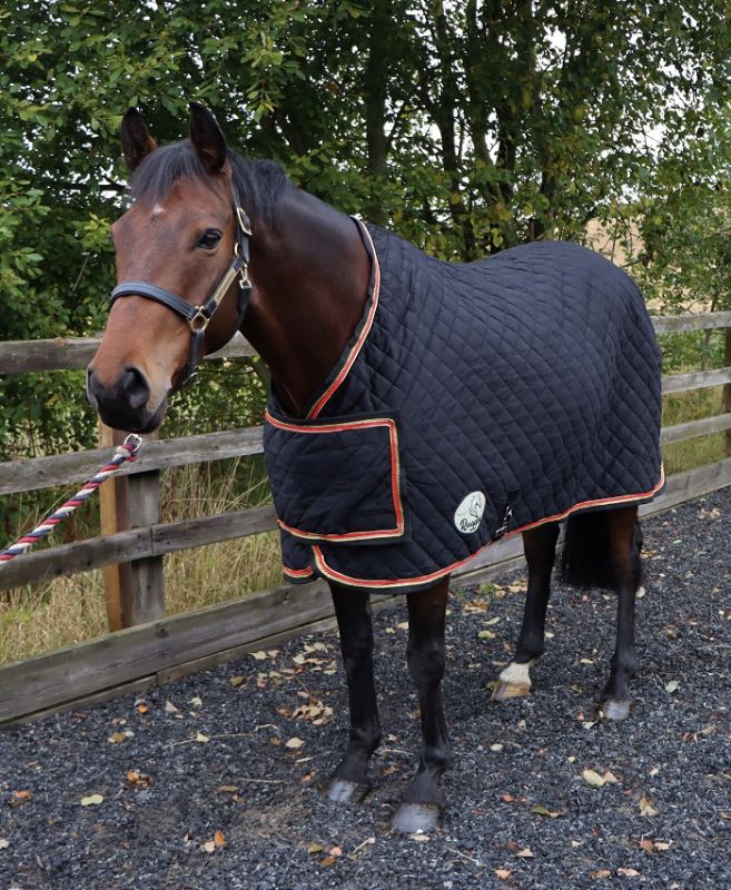 Ruggles Heavy Horse Fleece Rug - Pink & Sky Blue